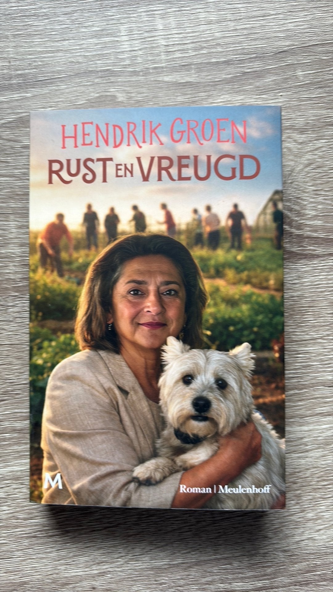 Rust en Vreugd - Hendrik Groen (Roman), Verzenden, Hendrik Groen, Zo goed als nieuw, Nederland
