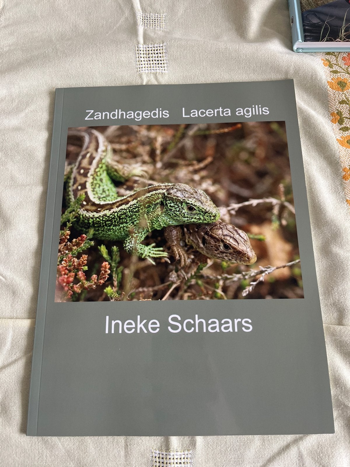 Zandhagedis Lacerta agilis - Ineke Schaars, Boeken, Ophalen, Zo goed als nieuw, Natuur algemeen