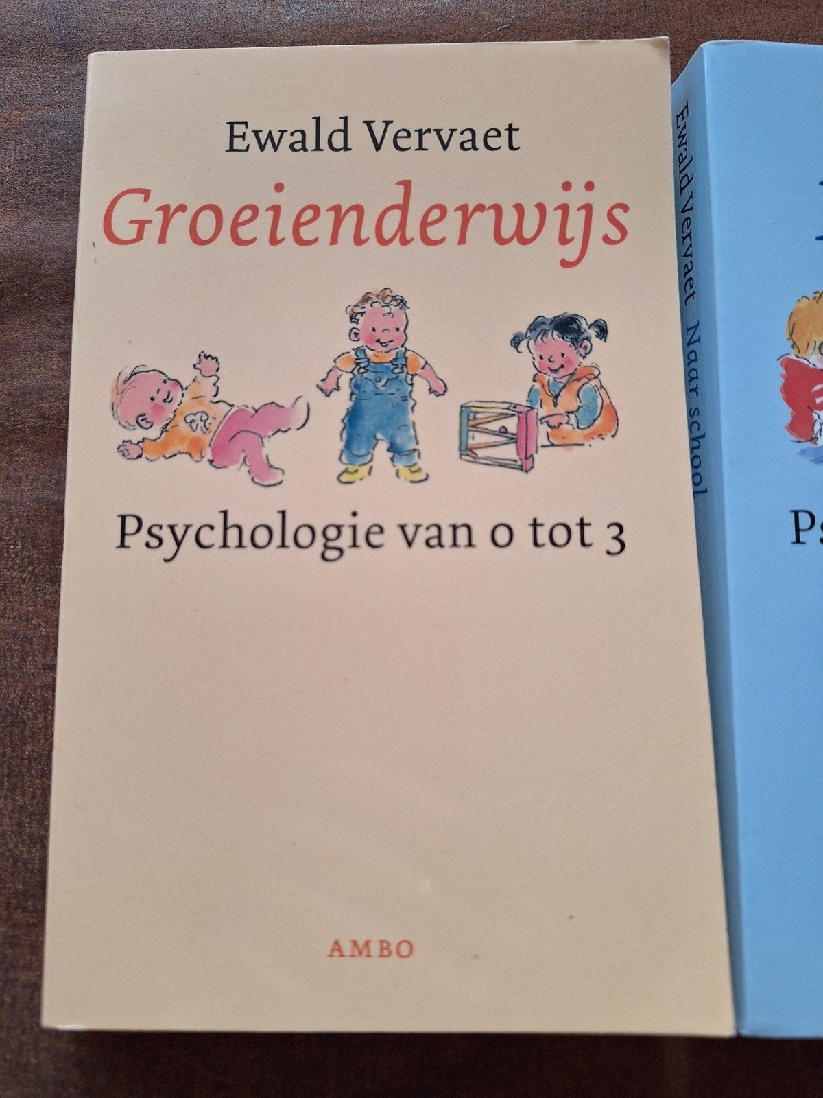 Ewald Vervaet - Groeienderwijs, Ophalen of Verzenden, Ewald Vervaet, Ontwikkelingspsychologie, Zo goed als nieuw