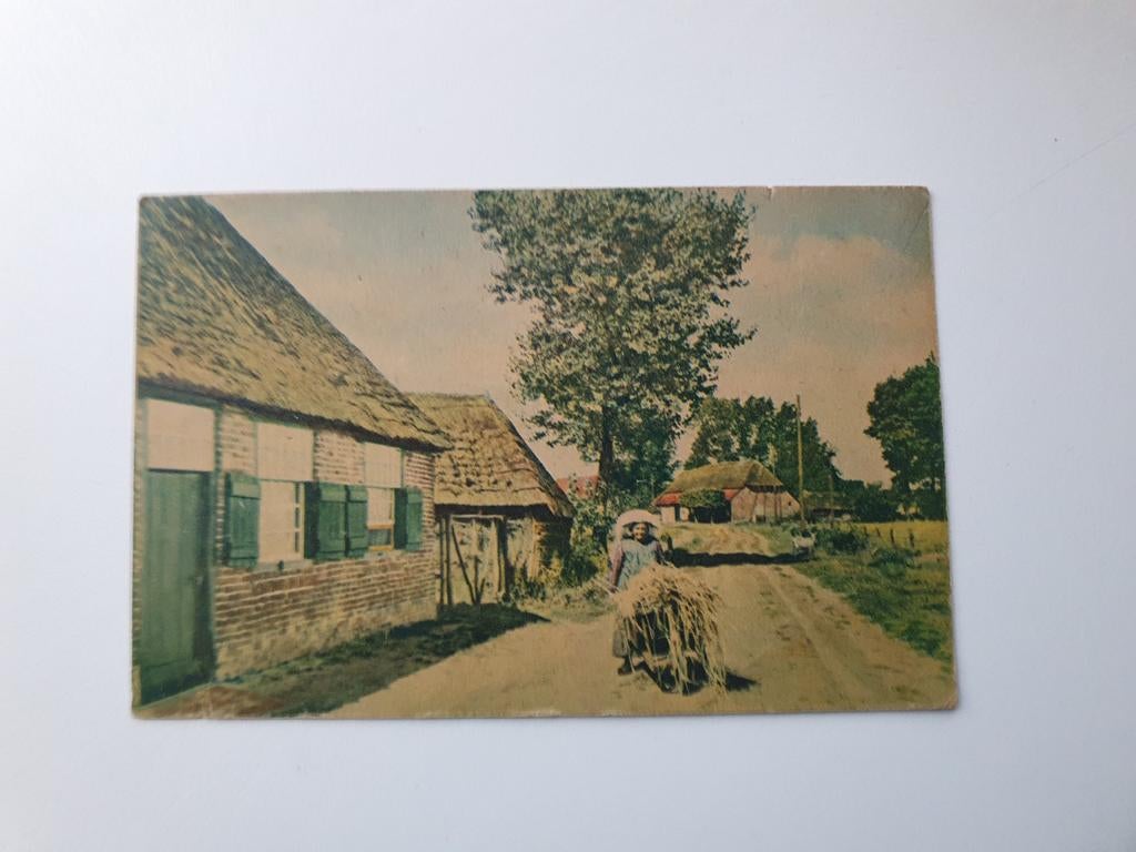 Oude ansichtkaart Heeze (N.-Br.) - Landelijk tafereel, Ophalen of Verzenden, 1940 tot 1960, Ongelopen, Noord-Brabant