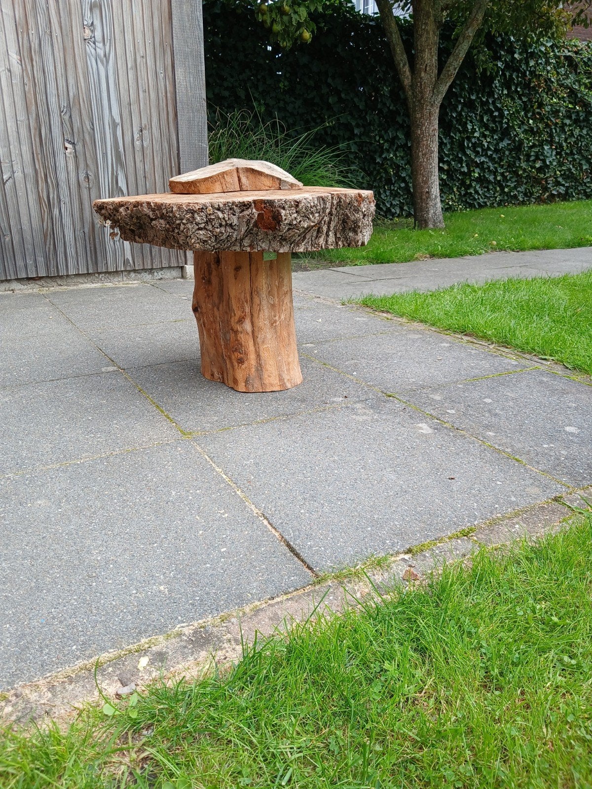 Boomstam bijzettafel, Ophalen, Nieuw, Rond, Hout
