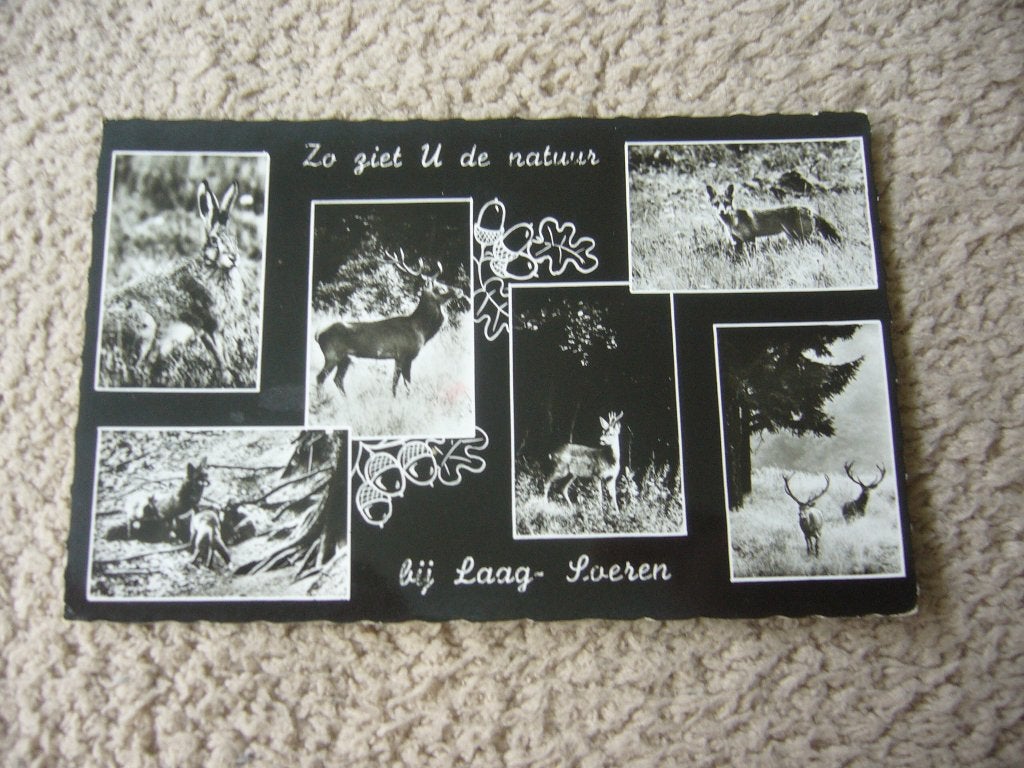 LAAG SOEREN  =  6 LUIK  VAN VAKANTIEDORP  DE JUTBERG, Ophalen of Verzenden, 1940 tot 1960, Gelopen, Gelderland