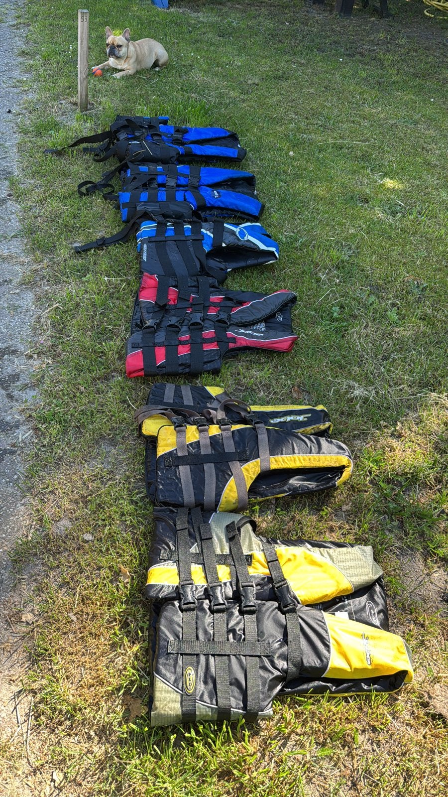 4 zwemvesten, Watersport en Boten, Watersportkleding, Ophalen, Zo goed als nieuw, Dame of Heer, Reddingsvest of Zwemvest