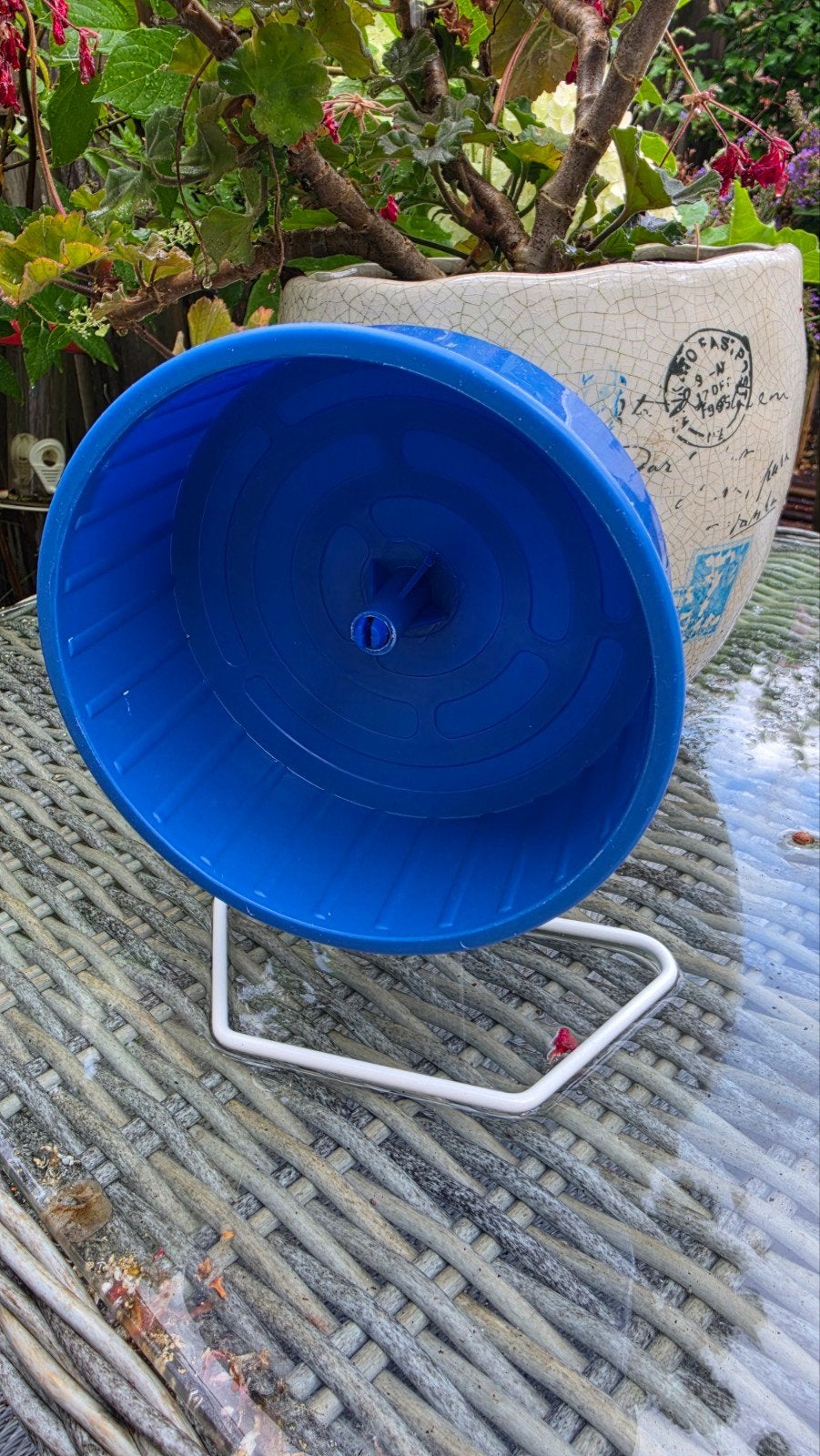hamsterwiel, Ophalen of Verzenden, Zo goed als nieuw, Transportkoffer of -box