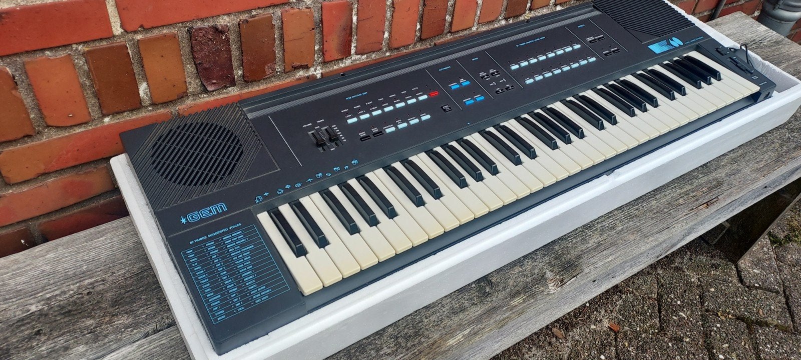 GEM-DSK Keyboard/Piano met adapter en leerboeken, Ophalen, Zo goed als nieuw