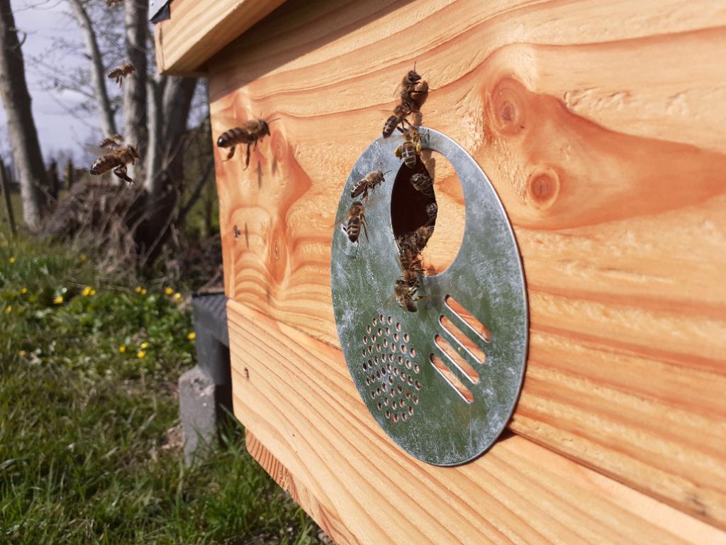 Topkast bijenkast bijen kast top kast imker bijenkasten, Bijen