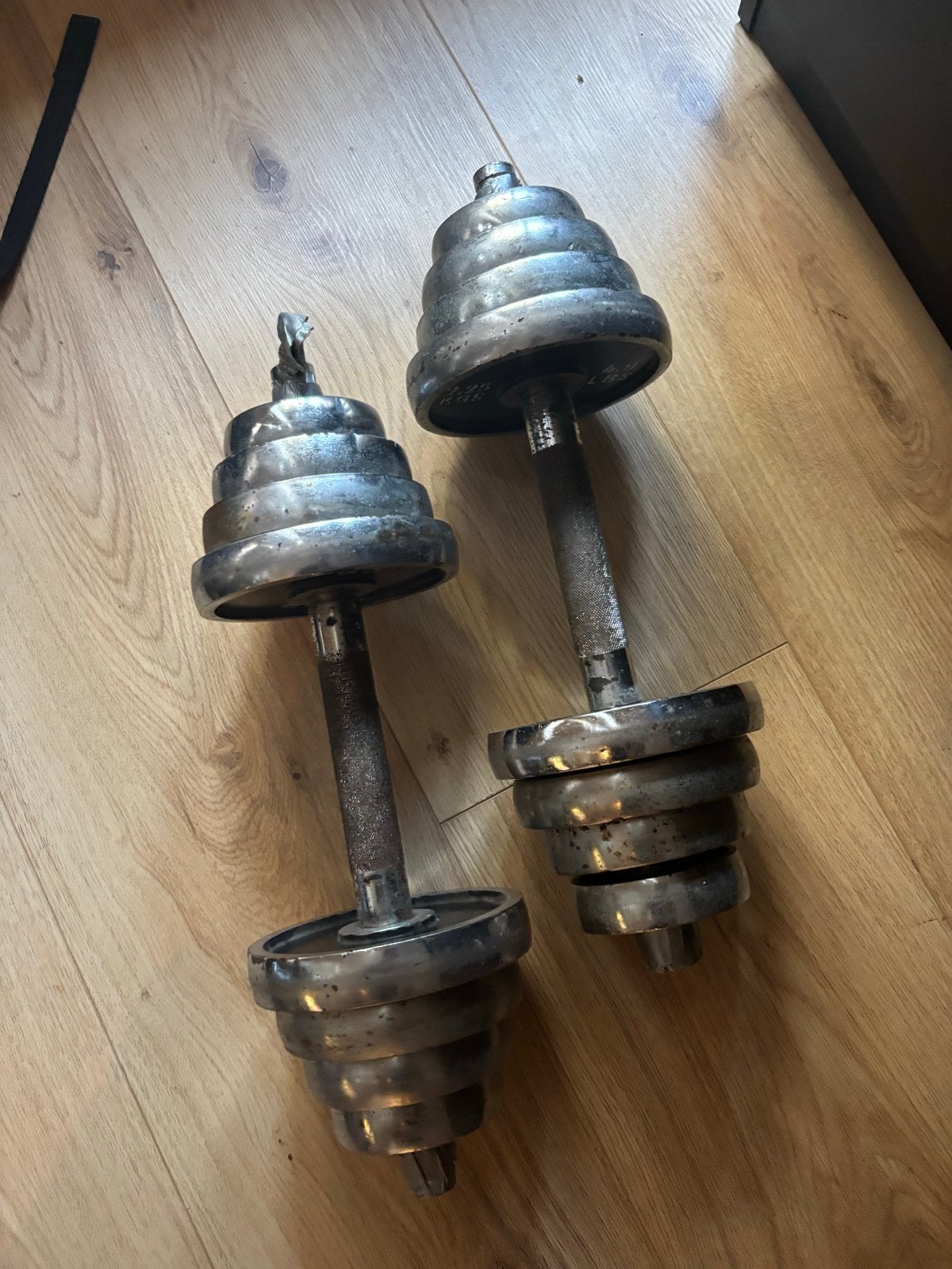 2 Dumbbells van 15KG - Ideaal voor thuistraining, Ophalen of Verzenden, Gebruikt, Armen, Dumbbell