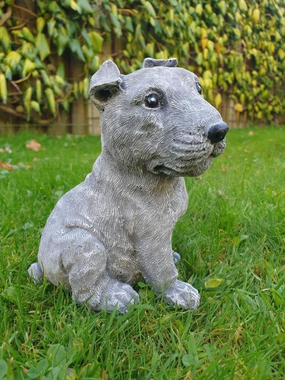 Staffordshire Bull Terrier , pitbull typ, Tuin en Terras, Tuinbeelden, Nieuw, Ophalen of Verzenden