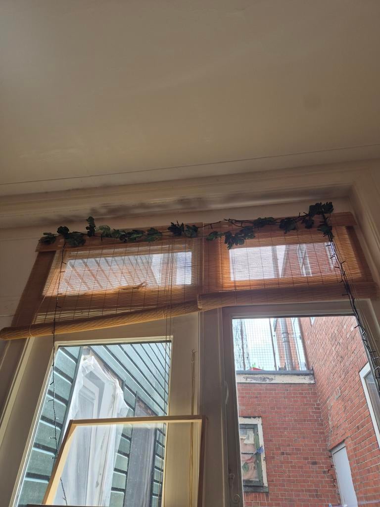 Bamboe rolgordijnen, set van 2, Ophalen, 100 tot 150 cm, Bruin, 100 tot 150 cm