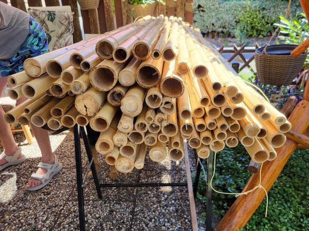 Bamboe palen voor diverse toepassingen, Ophalen, Overige materialen, 1 tot 2 meter, Nieuw