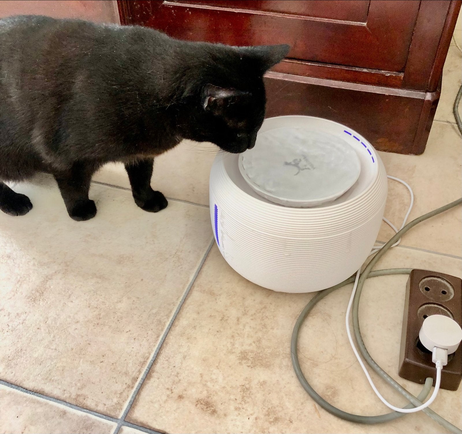 Pet drinkfontein met filter, Ophalen of Verzenden, Nieuw