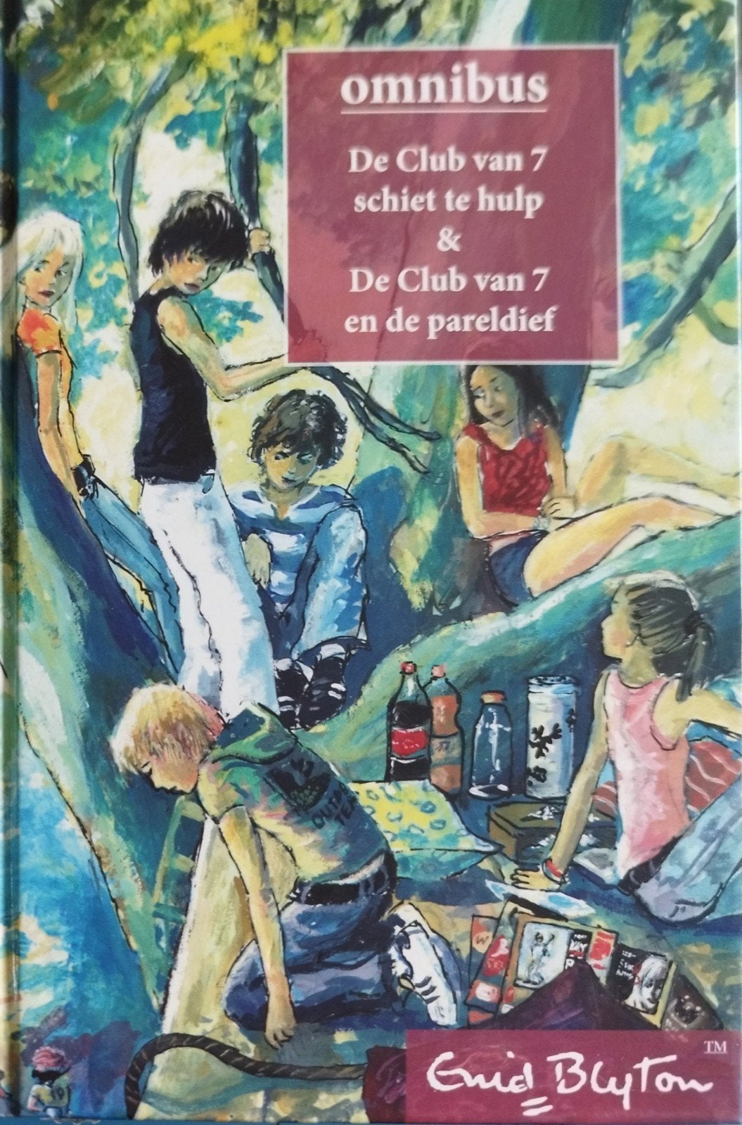 De Club van 7 Omnibus: Schiet te hulp & Parel dief, Ophalen of Verzenden, Nieuw, Enid Blyton, Fictie
