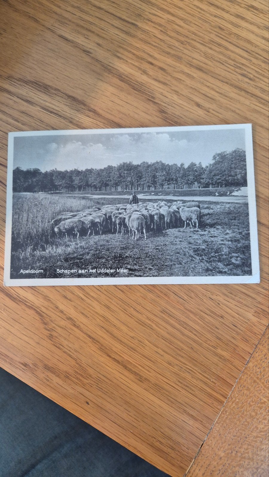 Ansichten UDDEL Apeldoorn, Verzamelen, Ophalen, 1920 tot 1940, Gelderland