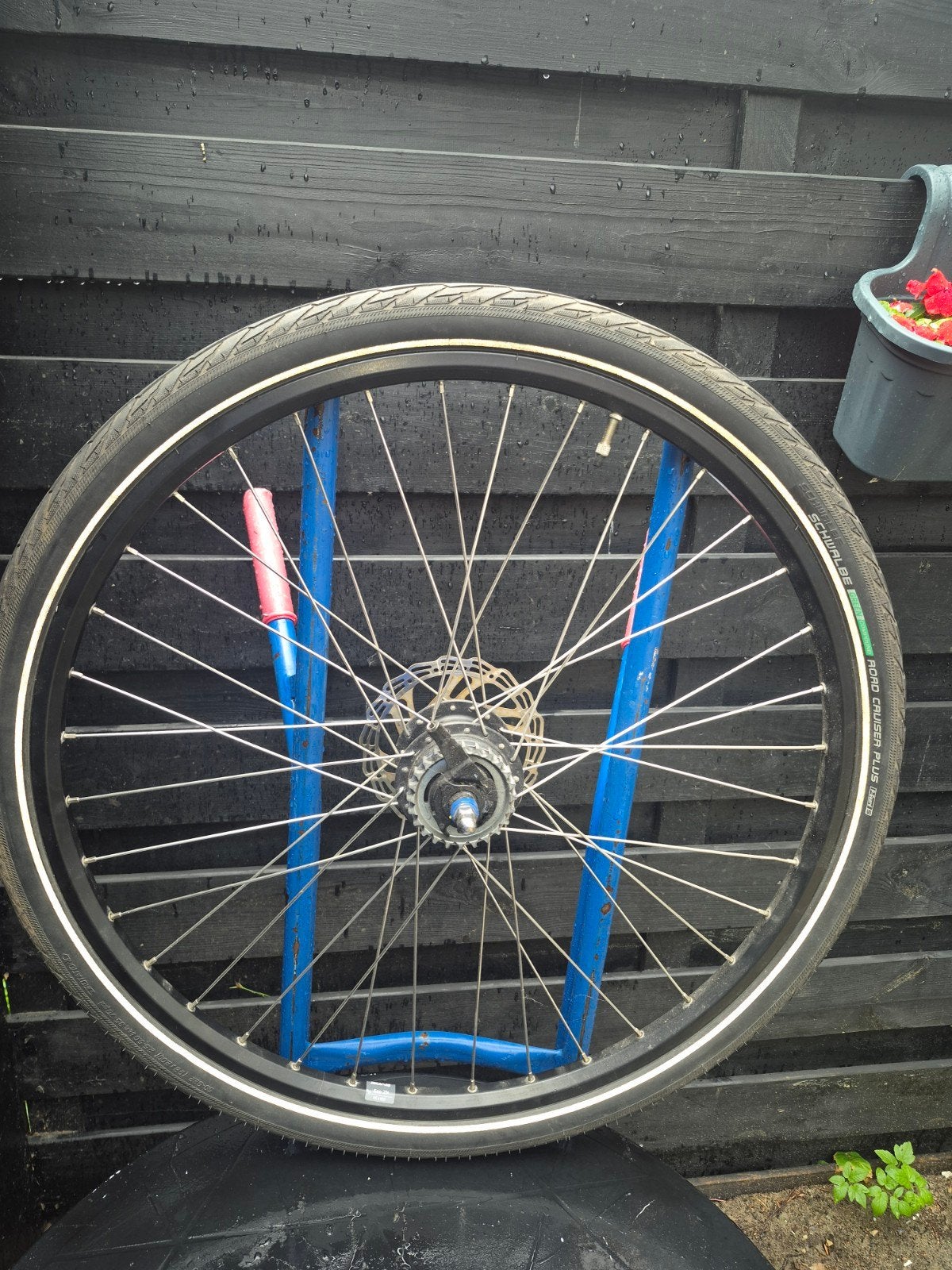 28 inch e bike achter wiel 7 v, Ophalen of Verzenden, Wiel