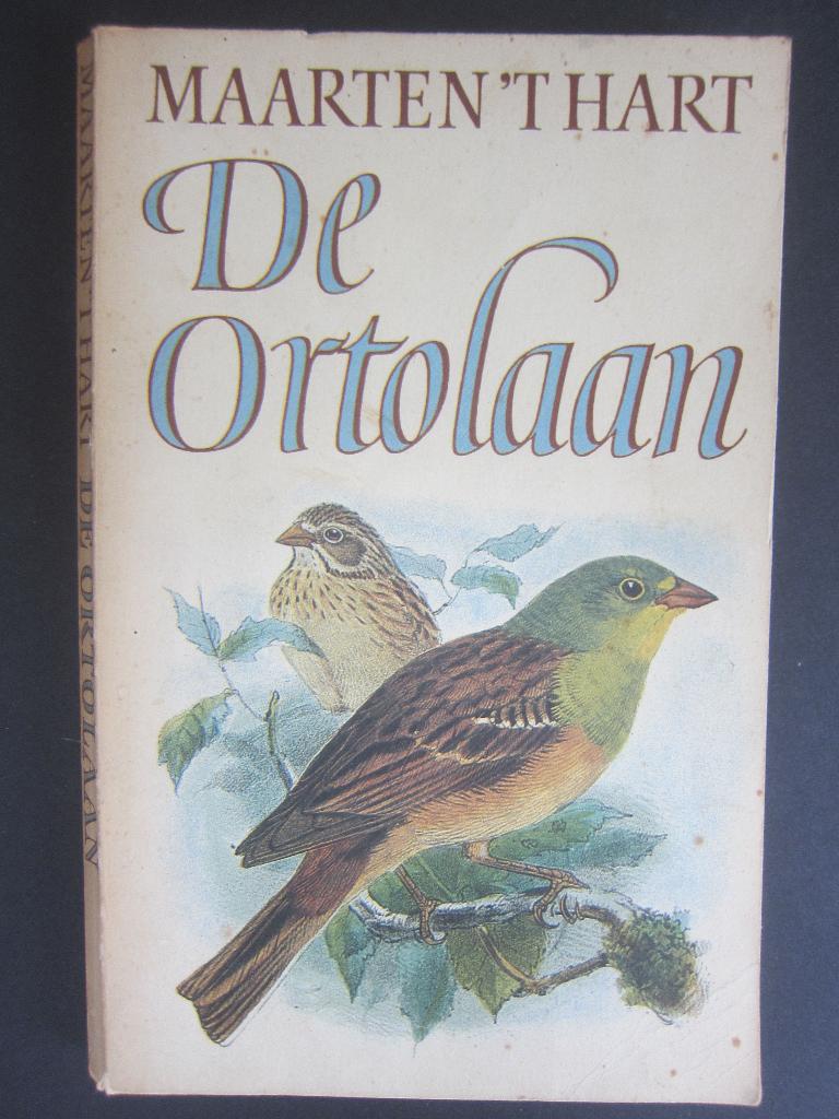 roman het boek De Ortolaan Maarten t Hart, Ophalen of Verzenden, Zo goed als nieuw, Maarten 't Hart, Nederland