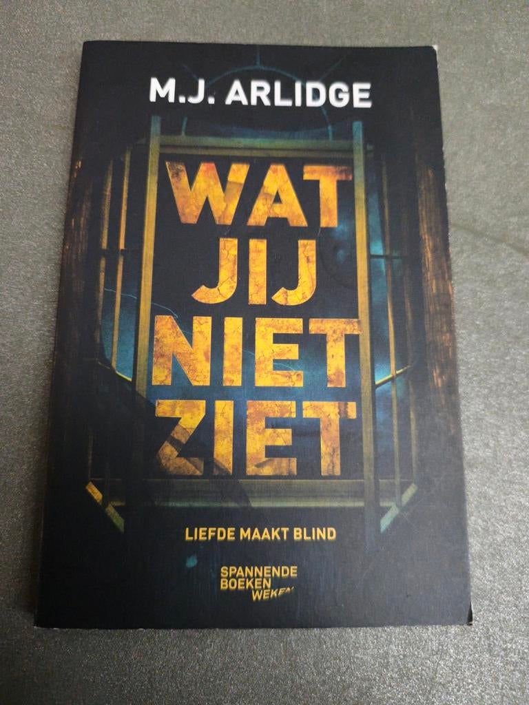 M.J. Arlidge - Wat jij niet ziet, Boeken, Ophalen of Verzenden, Zo goed als nieuw, M.J. Arlidge