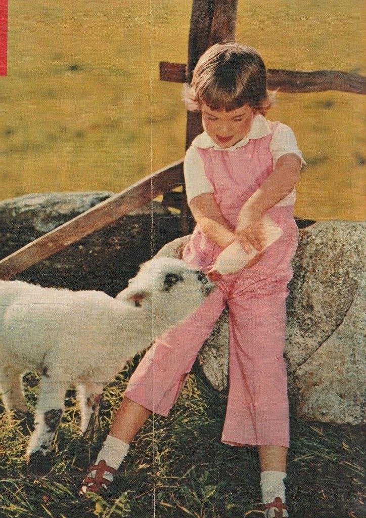 Vintage knipsel 1961 Kindje met lammetje & flesje, Verzenden, 1960 tot 1980, Nederland, Tijdschrift