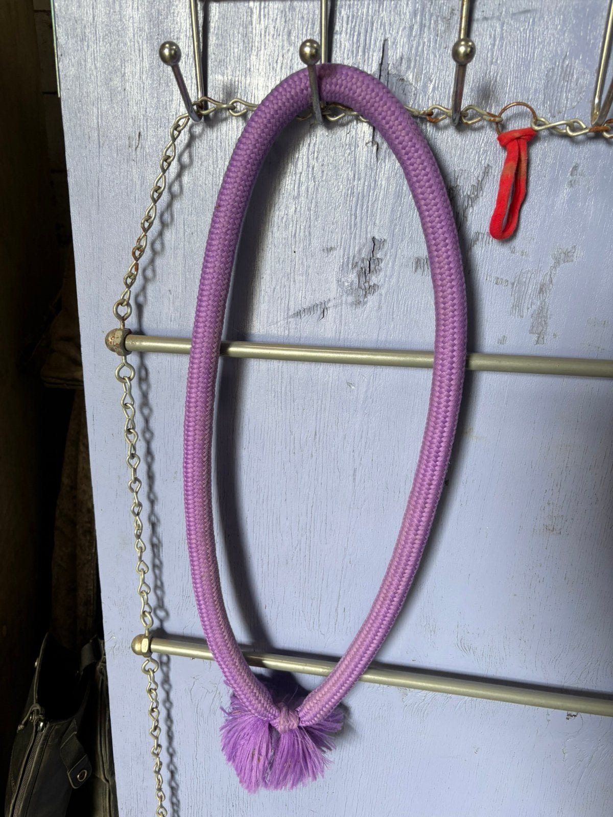 Nekrope Shetlander, Dieren en Toebehoren, Ophalen of Verzenden, Zo goed als nieuw, Overige soorten
