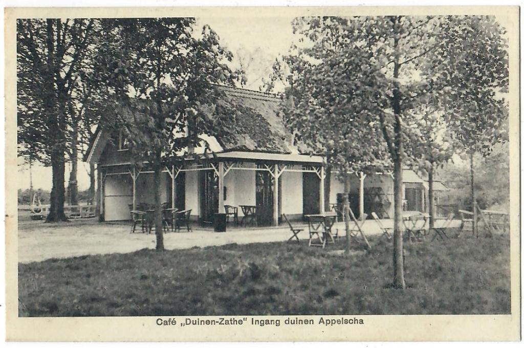 Café "Duinen-Zathe" Ingang duinen Appelscha, Verzenden, 1920 tot 1940, Gelopen, Friesland