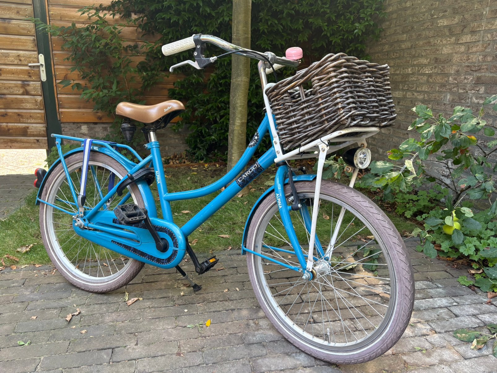Fiets 22 inch Alpina cargo, Ophalen, Terugtraprem, 22 inch, Gebruikt