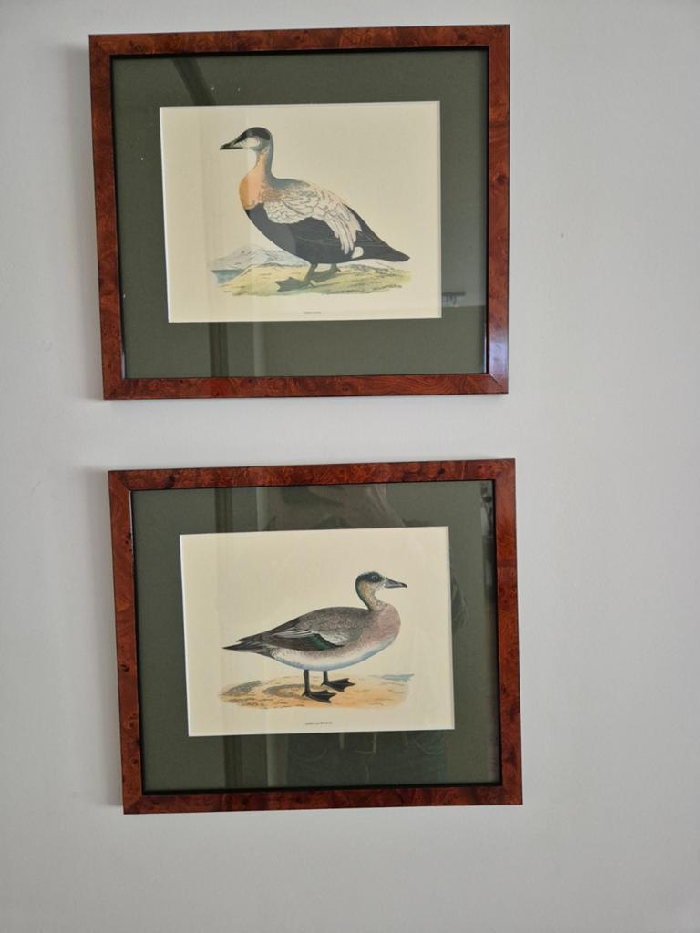 Set van 2 ingelijste vogelprints Eenden, Ophalen, Minder dan 50 cm, Minder dan 50 cm, Print