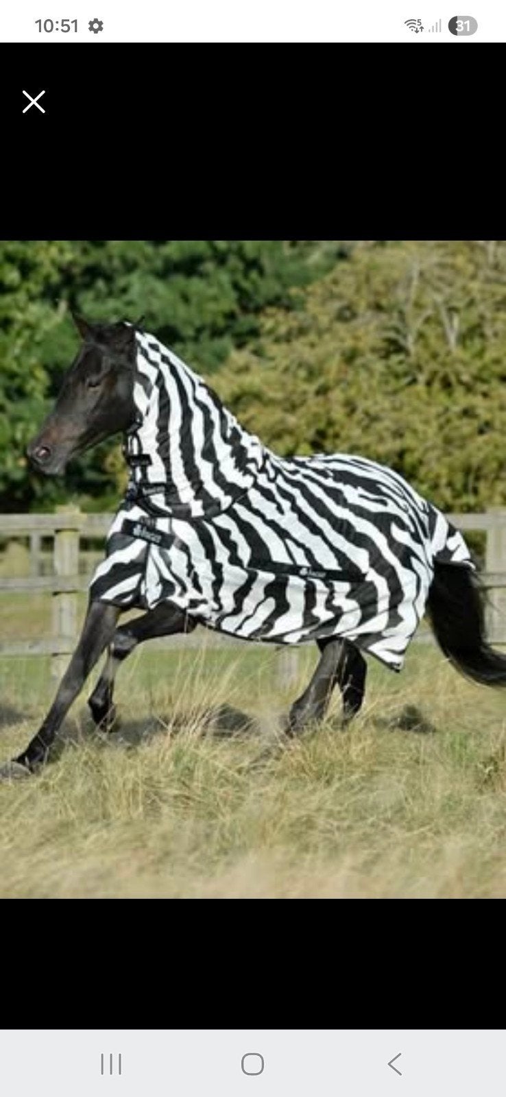 Bucas Zebra vliegendeken met hals maat 205, Dieren en Toebehoren, Paarden en Pony's | Dekens en Dekjes, Vliegendeken, Afneembare hals
