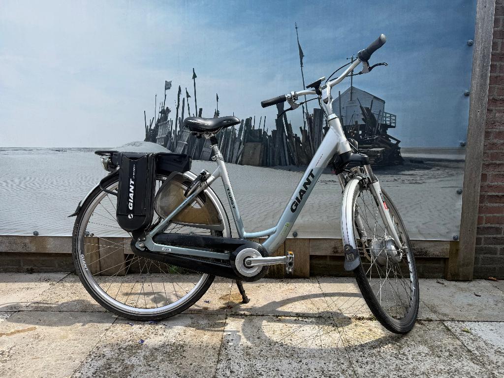 Giant Twist, Fietsen en Brommers, Elektrische fietsen, Ophalen, Minder dan 30 km per accu, Gebruikt, Giant