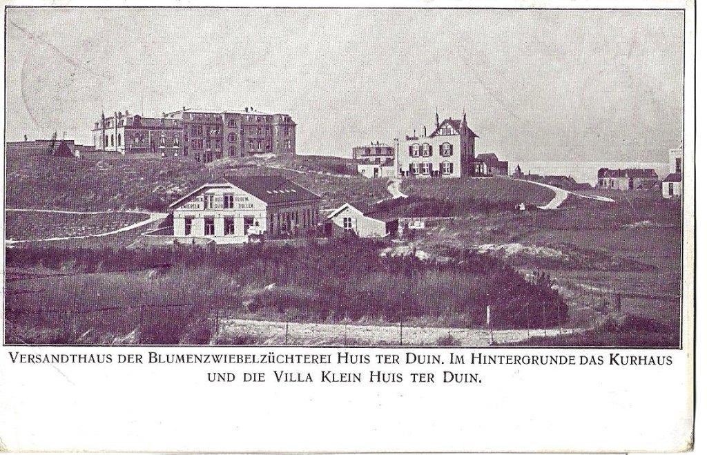 Bloembollenkweker NOORDWIJK  KURHAUS  en Villa  082  jr 1907, Verzenden, Voor 1920, Gelopen, Zuid-Holland