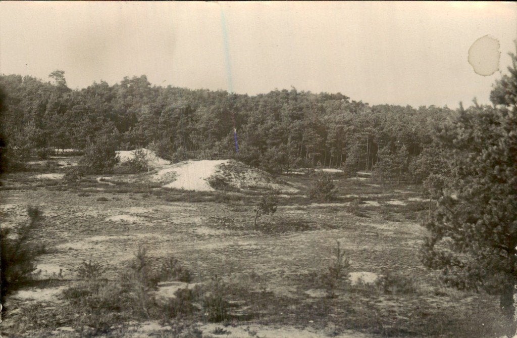 Duinlandschap - Dennenbos, Ophalen of Verzenden, 1920 tot 1940, Ongelopen, Noord-Brabant