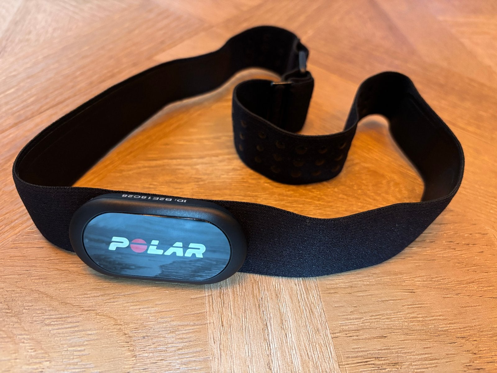 Polar hartslagmeter - Nieuw en ongebruikt, Sport en Fitness, Ophalen, Nieuw, Polar, Met borstriem