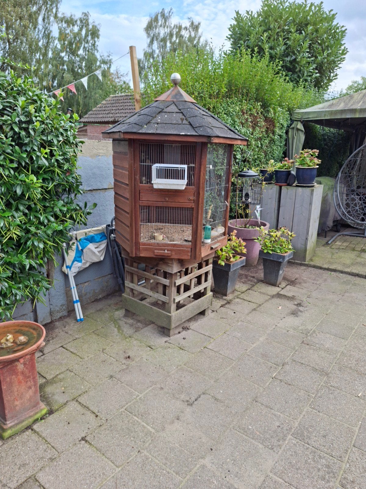 Mooie vogelkooi  +  kanarie, Ophalen of Verzenden, Gebruikt, Hout, Vogelkooi
