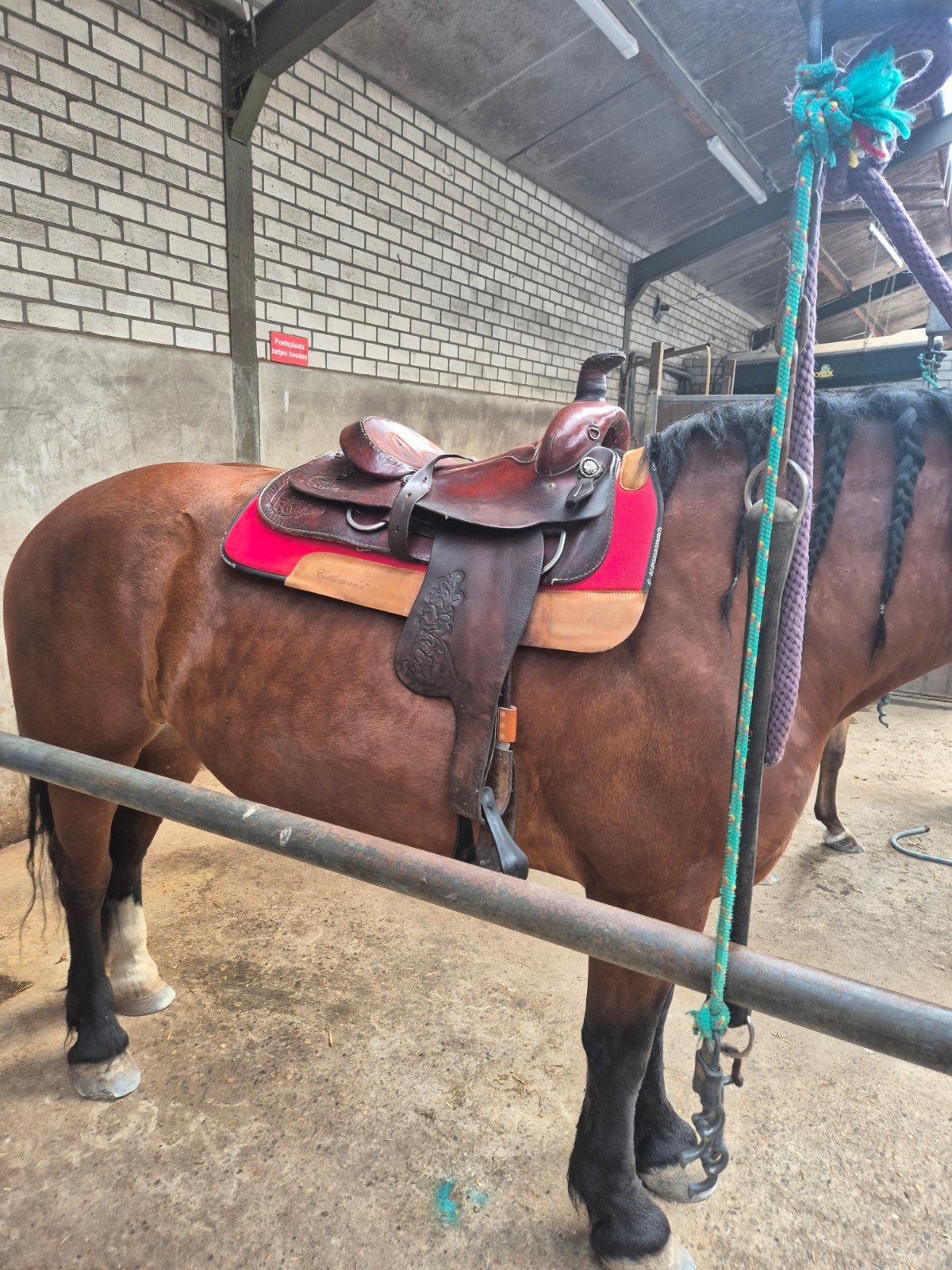 westernzadel Simco, Dieren en Toebehoren, Paarden en Pony's | Zadels, Ophalen, Gebruikt