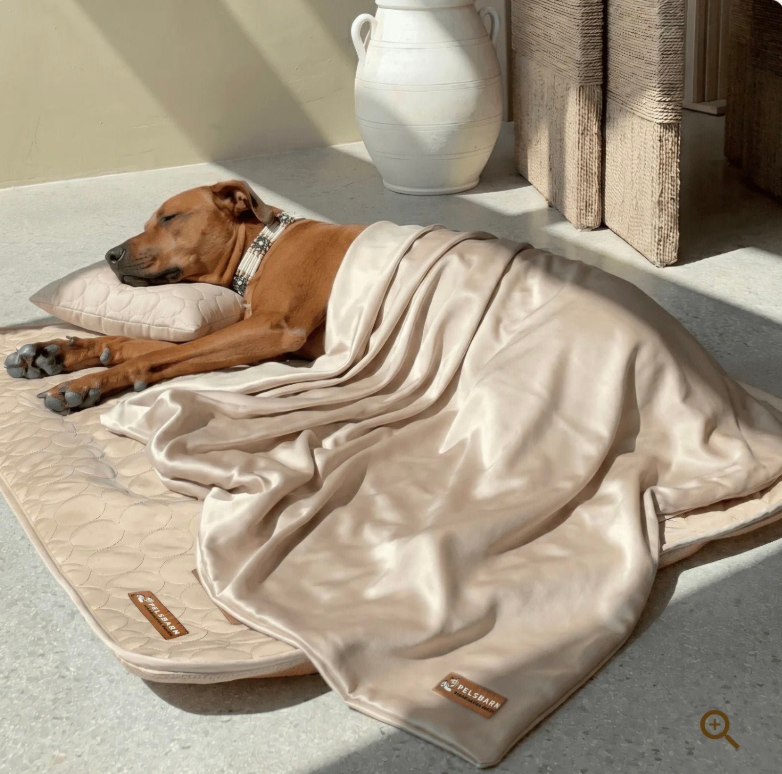 Pelsbarn verkoelend 1 + 1  gratis korting hondenkleed, Dieren en Toebehoren, Ophalen of Verzenden, Nieuw