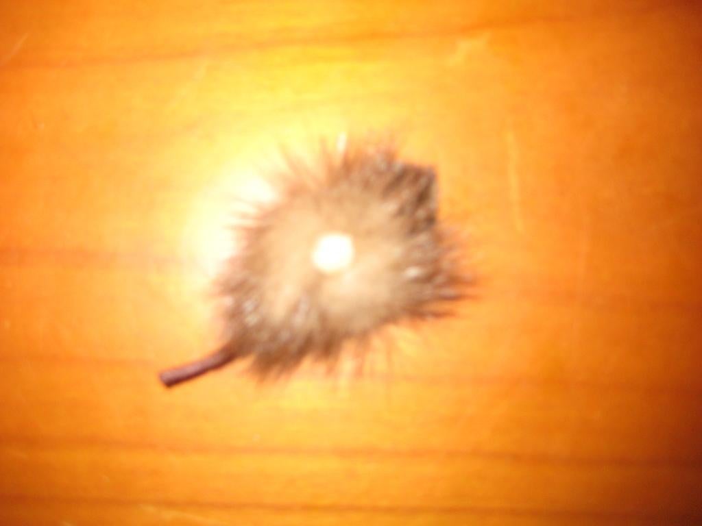 Broche van mink met echte parel (262), Ophalen of Verzenden, Zo goed als nieuw, 4 tot 7 cm, Overige materialen