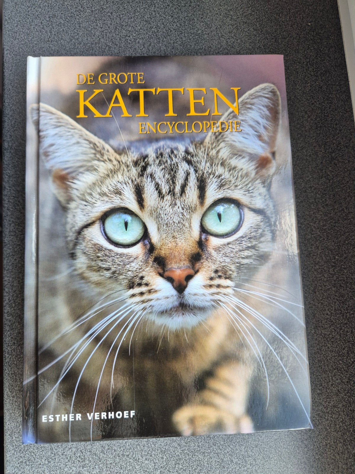 De Grote Katten Encyclopedie - nieuw!, Boeken, Dieren en Huisdieren, Ophalen of Verzenden, Nieuw, Katten, Esther Verhoef-Verhallen