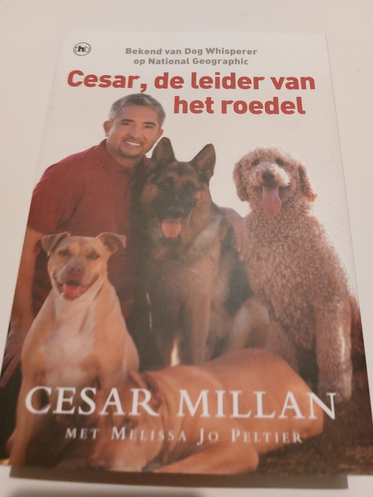 Cesar Millan: Cesar, de leider van het roedel - Hondenboek, Ophalen of Verzenden, Gelezen, Honden, Cesar Millan
