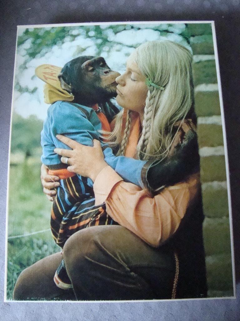 Tita tovernaar puzzel 99 stukjes, Ophalen of Verzenden