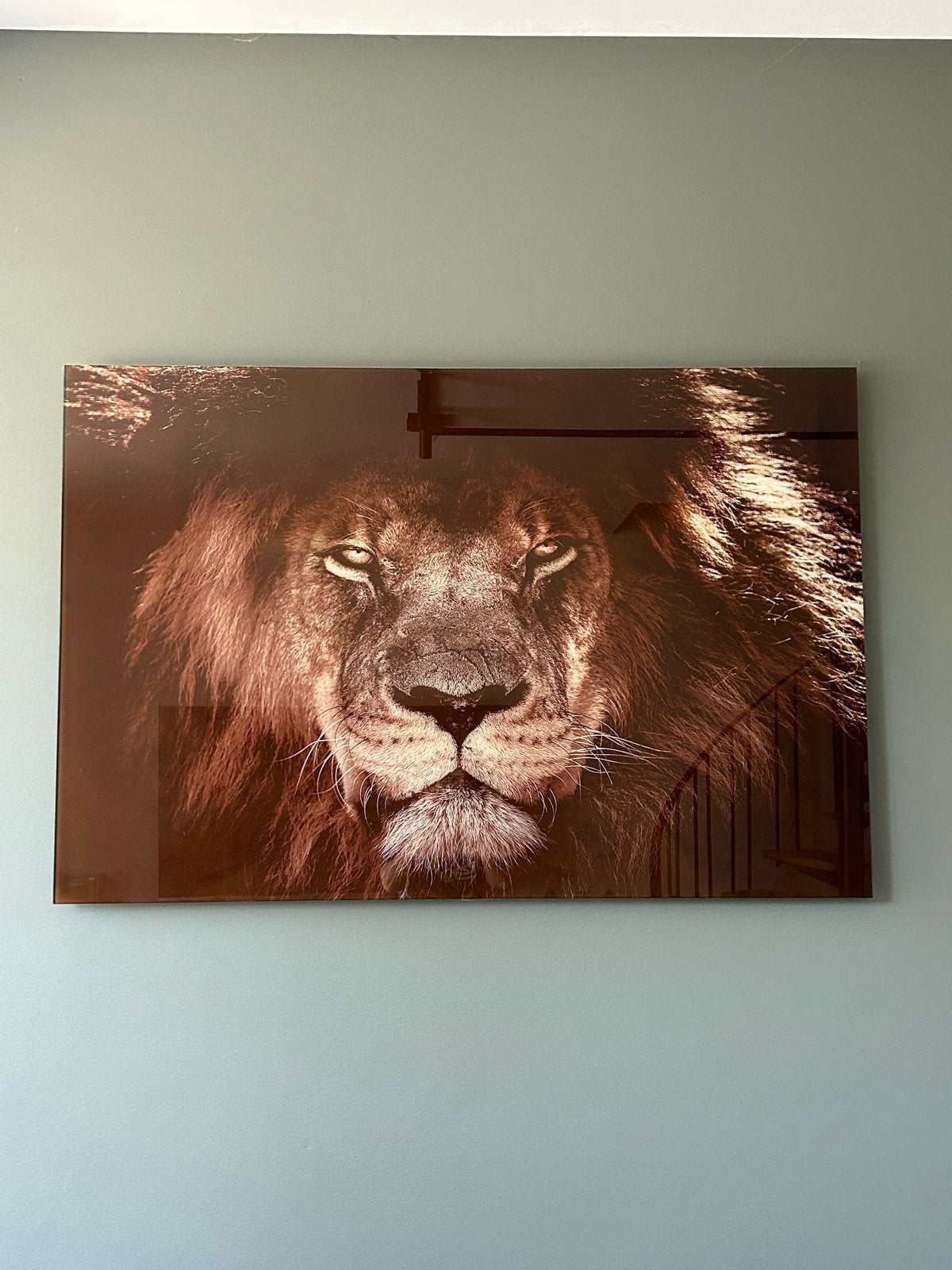 Flexiglas Leeuw Schilderij - Indrukwekkend Wanddecoratie, Ophalen, Kunststof, Ophangklaar, Dieren