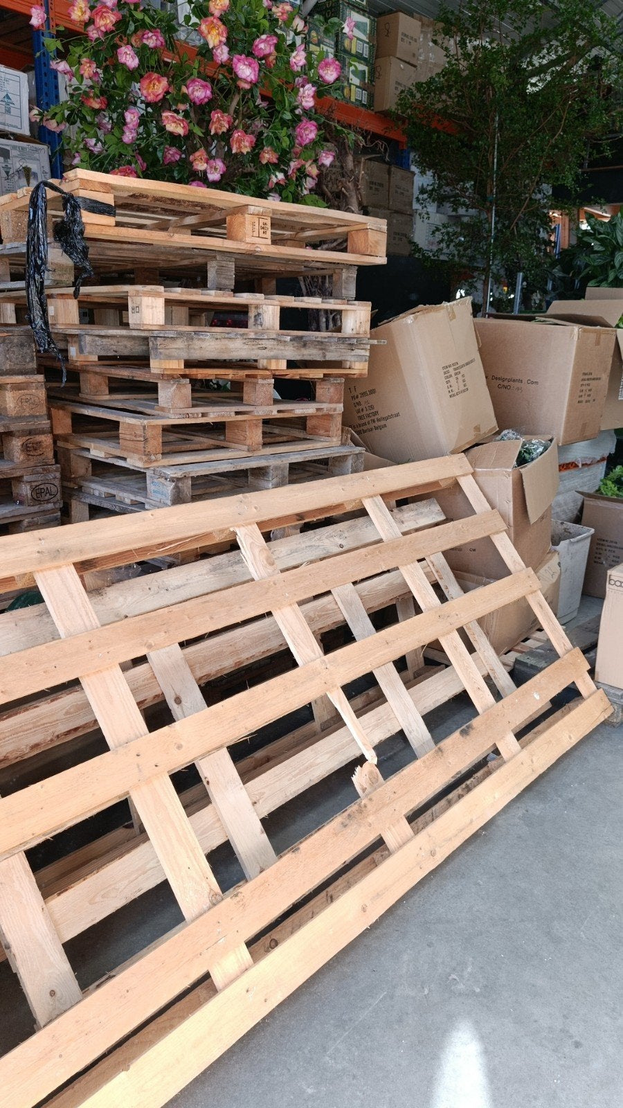 GRATIS: Gebruikte houten pallets, Ophalen, Gebruikt, 25 tot 50 mm, Pallet
