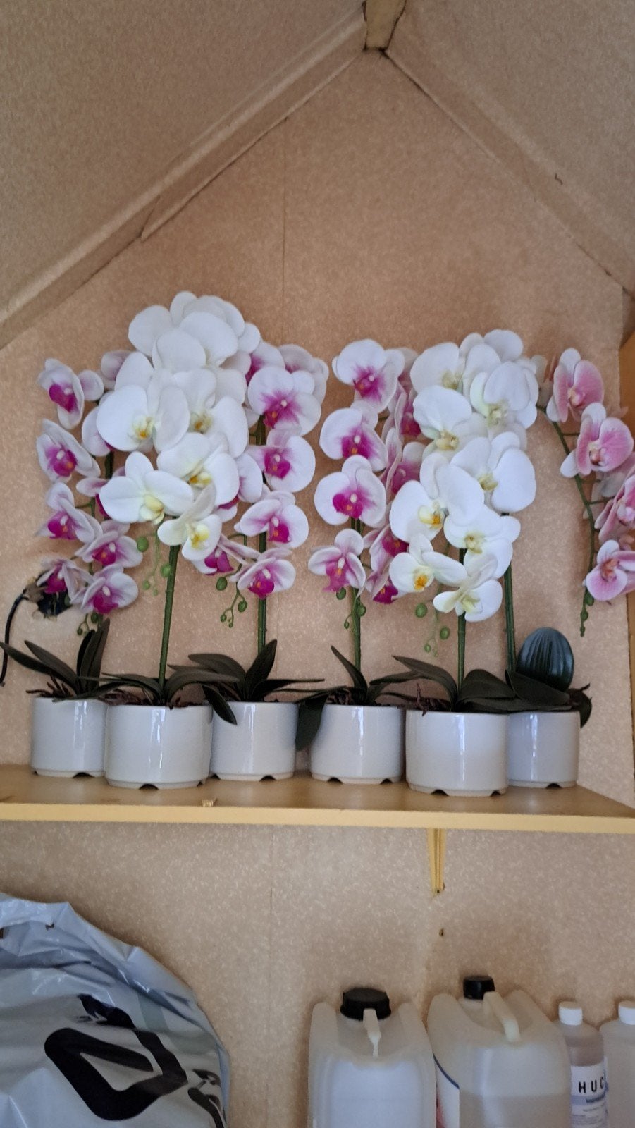 kunsbloemen 6 stuksmooie, Ophalen