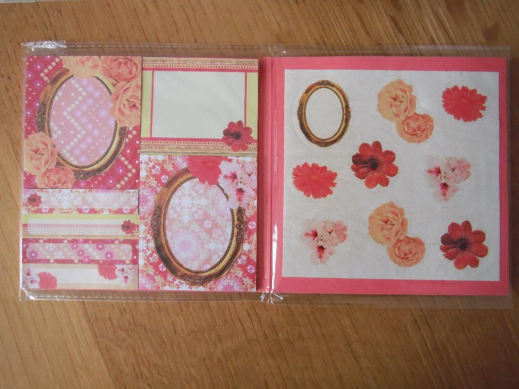 Sticky notes + stickervel, Ophalen of Verzenden, Nieuw