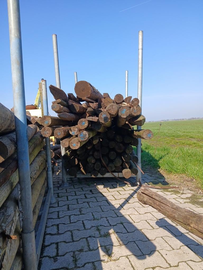 Weide palen afrastering brandhout, Tuin en Terras, Palen, Balken en Planken, Ophalen, 180 tot 250 cm, Palen