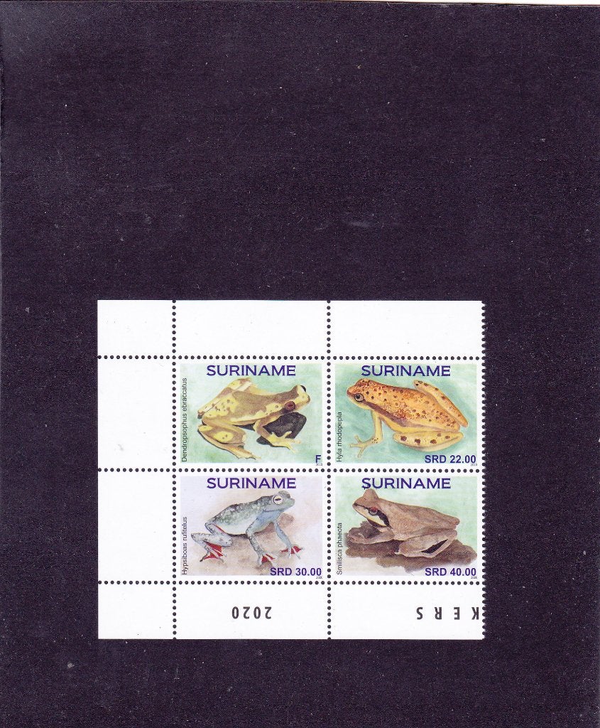 Suriname 2588/91 Kikkers 2020 (1171), Verzenden, Postfris