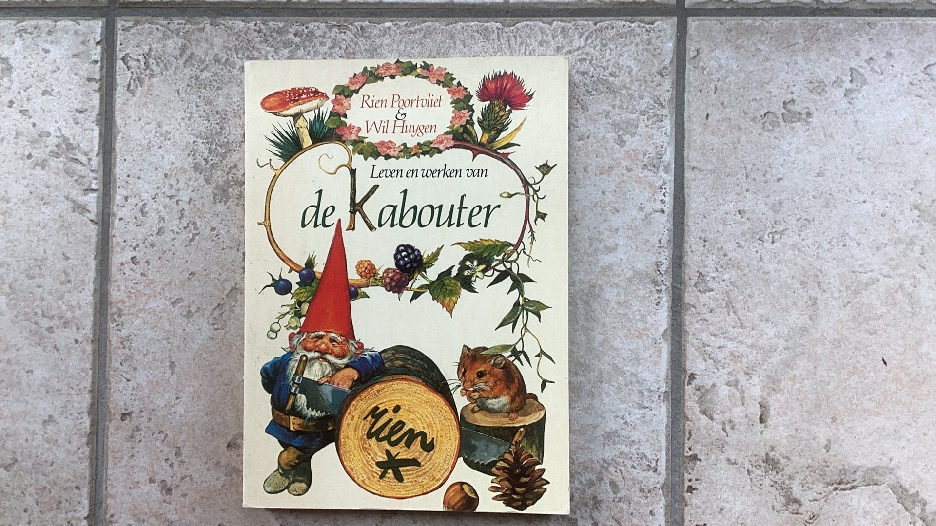 Rien Poortvliet: leven en werken van de Kabouter, Boeken, Prentenboeken en Plaatjesalbums, Ophalen of Verzenden, Gelezen, Prentenboek