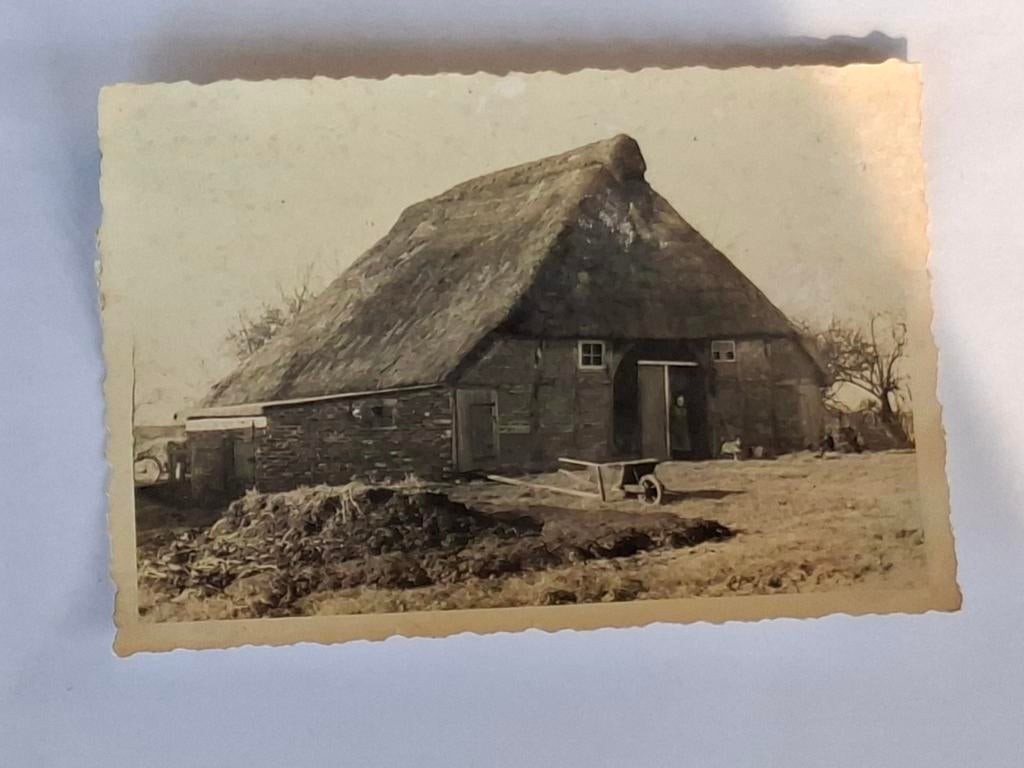 Fotokaart- boerderij- erf- rieten dak, Ophalen of Verzenden, 1940 tot 1960, Overige onderwerpen, Foto