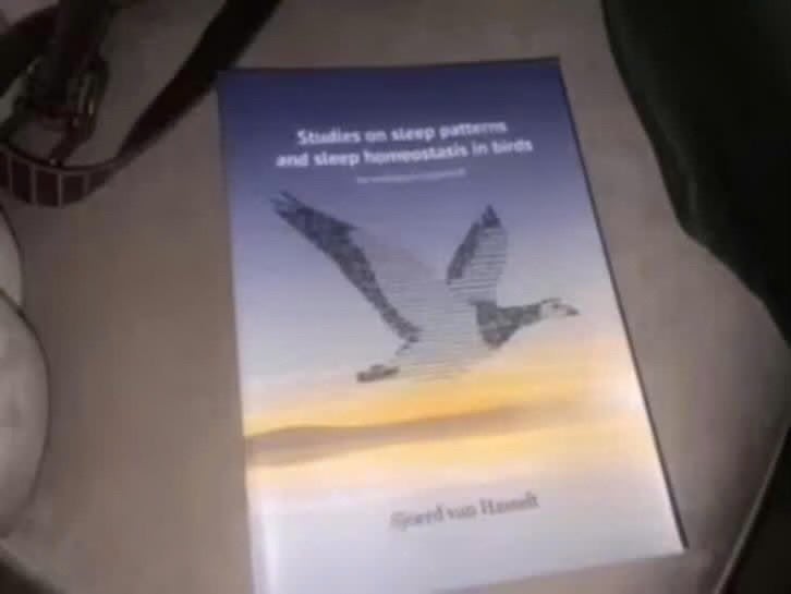 Slaappatronen en slaaphomeostase bij vogels, Boeken, Europa overig, Ophalen of Verzenden, Zo goed als nieuw, Sjoerd van Hasselt