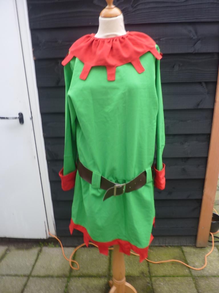 CARNAVAL, kabouter, carnavalspak, groen, Ophalen of Verzenden, Gedragen, Carnaval, Kleding