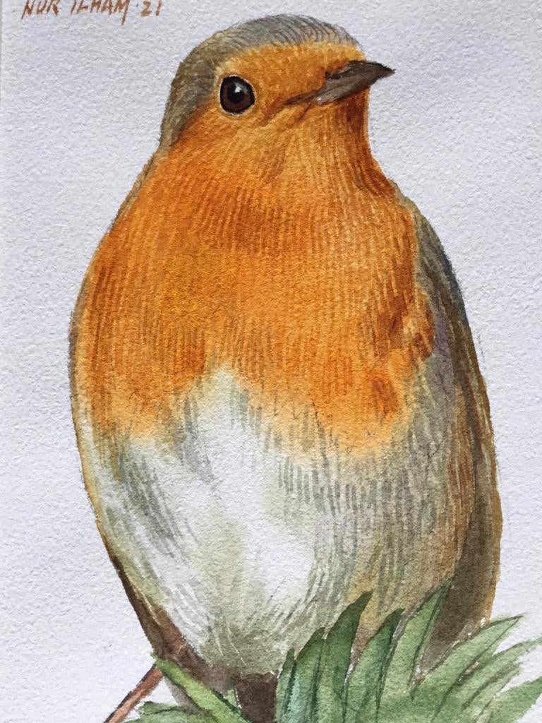 Aquarel roodborstje geschilderd door Nurilham, Antiek en Kunst, Kunst | Schilderijen | Modern, Ophalen of Verzenden