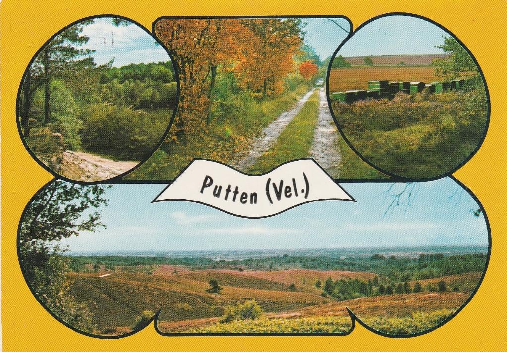 PUTTEN Landschappen Heide Bijenkorven, Verzenden, 1960 tot 1980, Gelopen, Gelderland