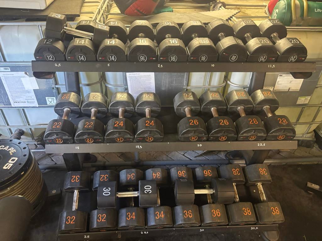 Lifemaxx PU Dumbbellset 12-38 kg met rek, Ophalen, Dumbbell, Gebruikt, Lifemaxx